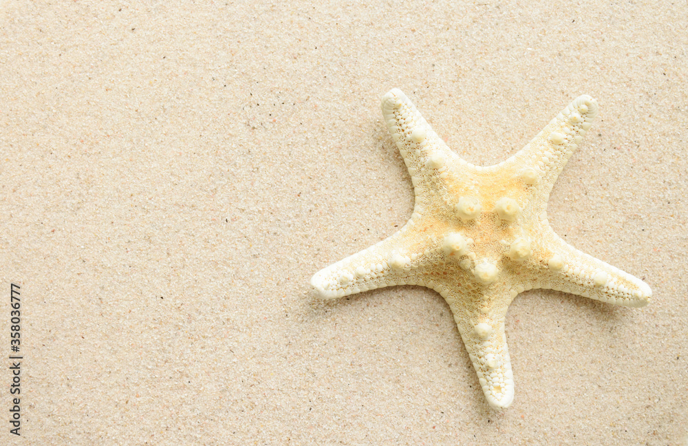 Top view of starfish on smooth sand surface Top view of starfish on smooth sand surface