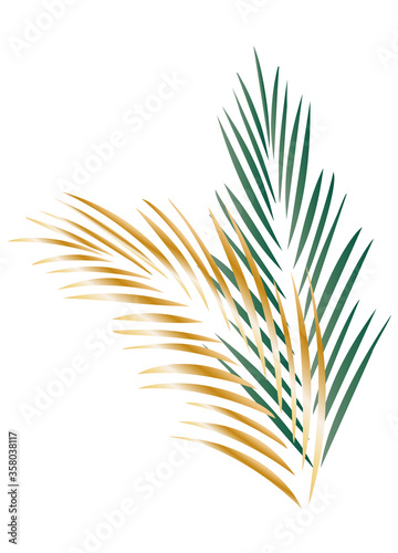 ein grünes und ein goldenes Palmenblatt photo