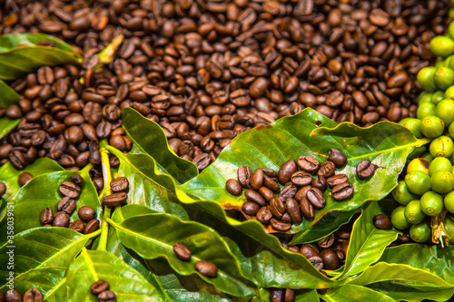 Texture of coffee beans and coffee berries