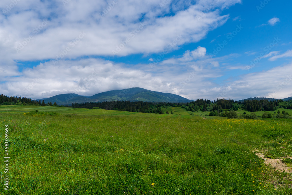 Green meadow in mountain and blue cloud sky. Composition of nature. Green meadow in mountain and blue cloud sky. Composition of nature.