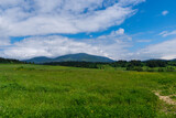 Green meadow in mountain and blue cloud sky. Composition of nature.