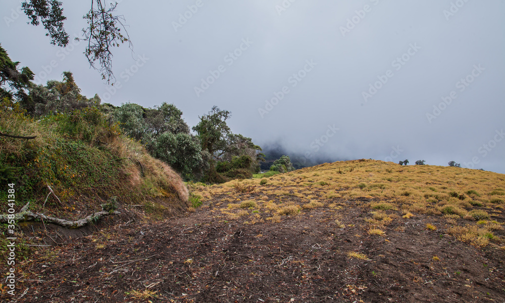 Fototapeta premium High in the mountains, the clouds descended on a beautiful field and trees