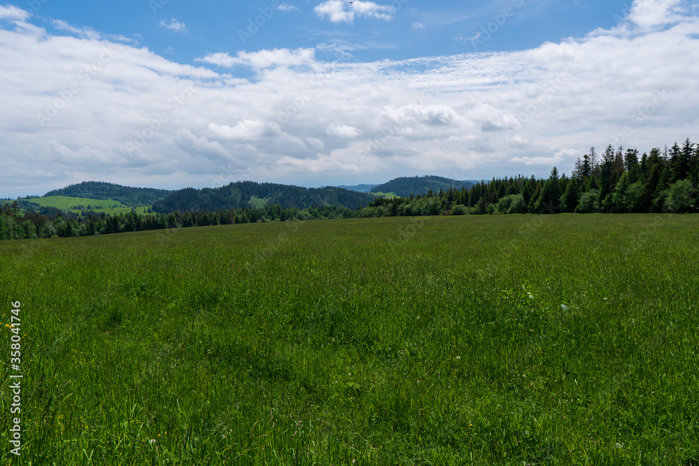 Green meadow in mountain and blue cloud sky. Composition of nature.