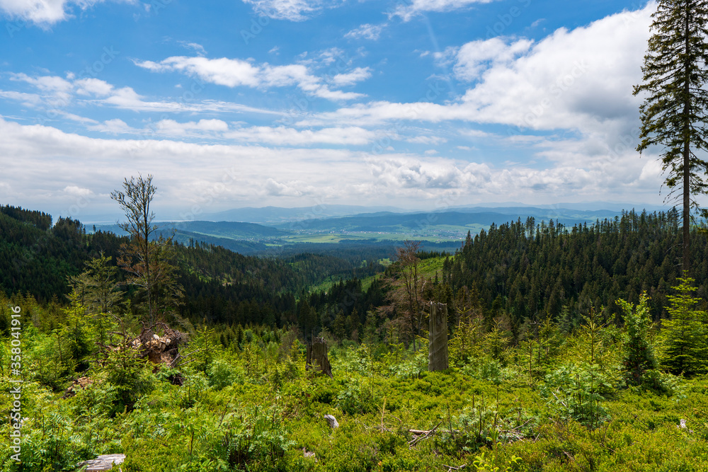panoramic view of green valley with small village in slovakia 