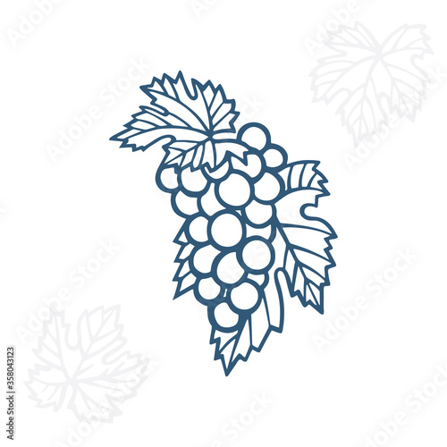 Grape. Hand drawn grape and vine engraving style illustration. Bunch of grapes vector design element. Grape and vine logo and ornament. Part of set.