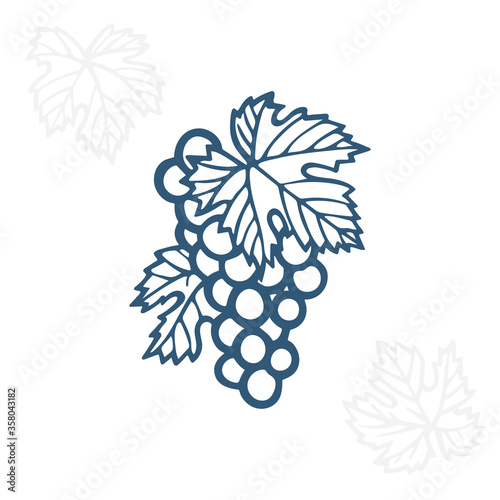 Grape. Hand drawn grape and vine engraving style illustration. Bunch of grapes vector design element. Grape and vine logo and ornament. Part of set.