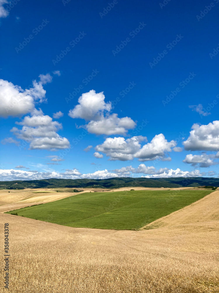Panorama toscano presso Orciano Pisano
