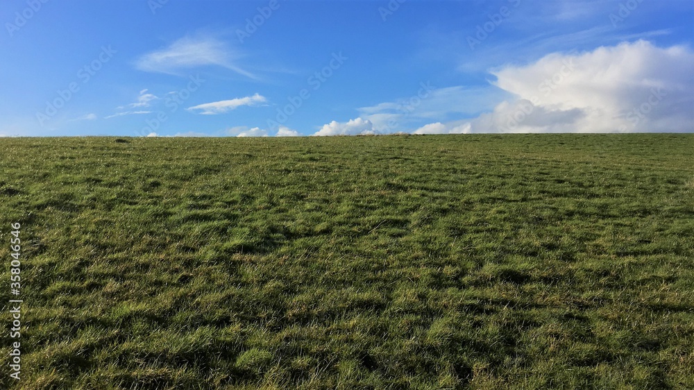 An expanse of green grass stretching uphill with a flat horizon, with bright clear blue sky and white clouds
