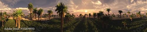 Palm grove in the sand desert at sunset, 3D rendering