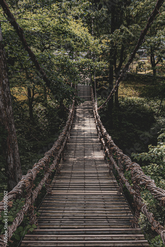 bridge in the forest © jimmymutophotography