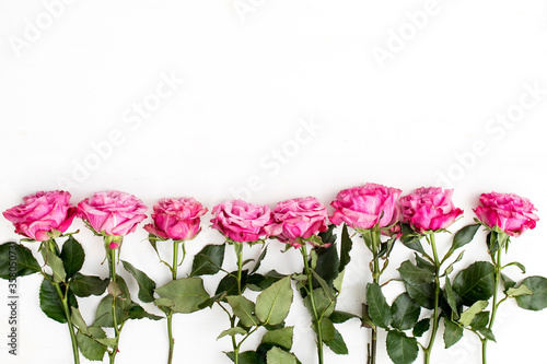 Wallpaper Mural A row of pink roses for a greeting card. Torontodigital.ca