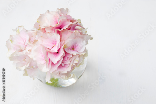 Ball-shaped pink hydrangea in a round glass vase for a greeting card on a white background.
