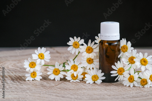 Organic chamomile oil and fresh flowers on wooden and black background. Copy space