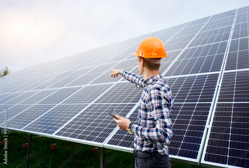 custom made wallpaper toronto digitalBack view of male worker in helmet with tablet in hands pointing at solar panels. Concept ecology protection.