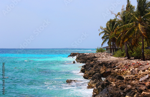 Rocky beach and palm trees on the embankment of tropical island. Azure water of Indian ocean near Maldives islands. Summer vacation on luxury resort, travel concept. Soft focus