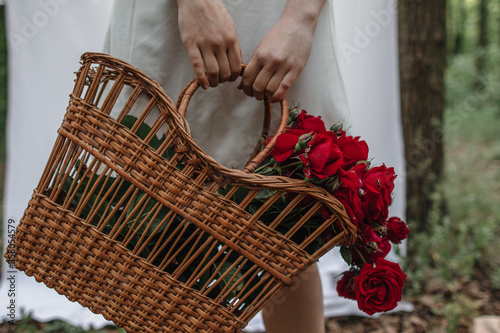Wicker basket with red roses in female hands, close-up on a background of white fabric and forest