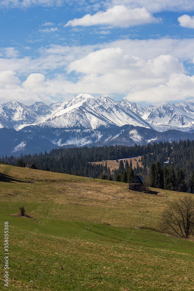 Tree stumps on foreground in High Tatras region. Beautiful mountains with snowy peak on background, Zakopane in Poland. Travel and vacation concept. Save nature