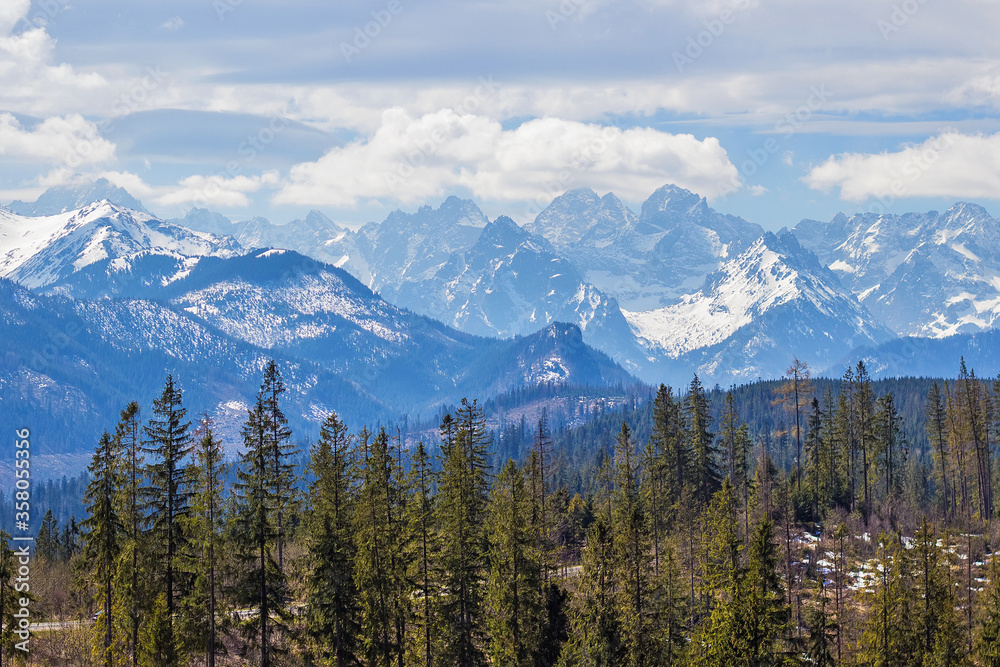 Breathtaking view on High Tatry mountains with snowy peaks and green spruce and pine forest on foreground, High Tatras near Zakopane, Poland. Travel and vacation concept. Love mountains