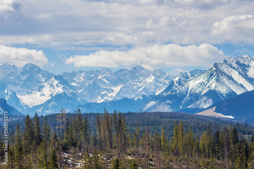 Breathtaking view on High Tatry mountains with snowy peaks and green spruce and pine forest on foreground, High Tatras near Zakopane, Poland. Travel and vacation concept. Love mountains