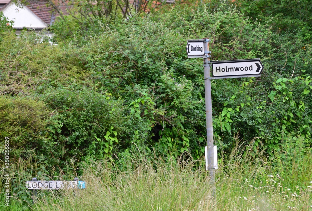 Road direction signs in Surrey England. Road direction signs in Surrey England.