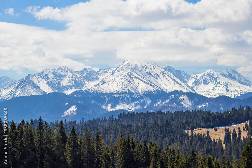 Breathtaking view on High Tatry mountains with snowy peaks and green spruce and pine forest on foreground, High Tatras near Zakopane, Poland. Travel and vacation concept. Love mountains