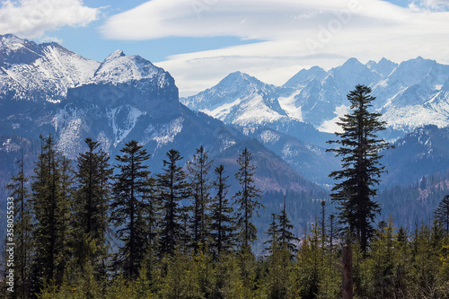 Breathtaking view on High Tatry mountains with snowy peaks and green spruce and pine forest on foreground, High Tatras near Zakopane, Poland. Travel and vacation concept. Love mountains