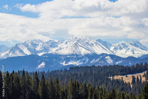 Breathtaking view on High Tatry mountains with snowy peaks and green spruce and pine forest on foreground, High Tatras near Zakopane, Poland. Travel and vacation concept. Love mountains