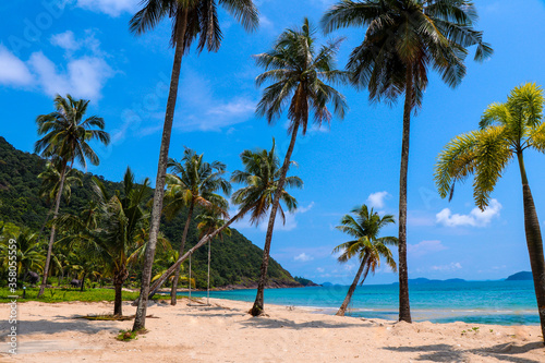 Fototapeta Naklejka Na Ścianę i Meble -  Green tall palm trees at the beach of the ocean 
