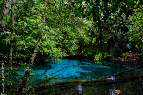 Blue or emerald pool in National park Sa Morakot  Krabi  Thailand.