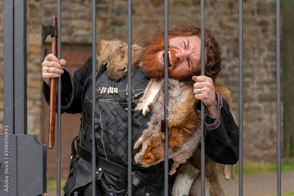 Naklejka premium Der Wikinger