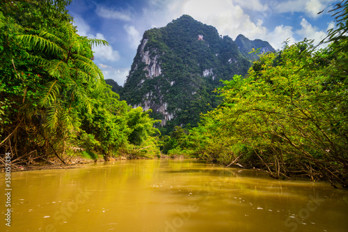 Rainforest of Khao Sok National Park, Thailand