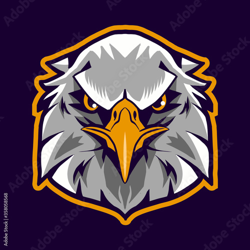 eagle head vector illustration isolated