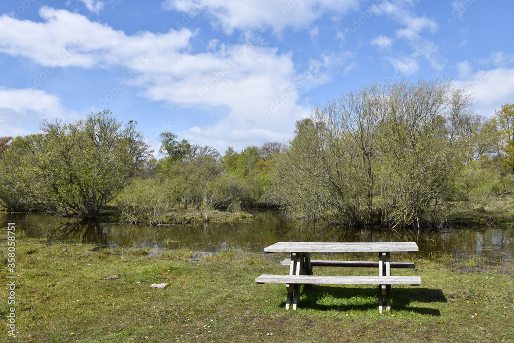 Obraz premium Picnic place by a small pond