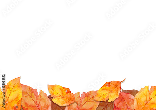frame of red leaves in autumn concept  isolated on white background. Flat lay, top view, copy space.
