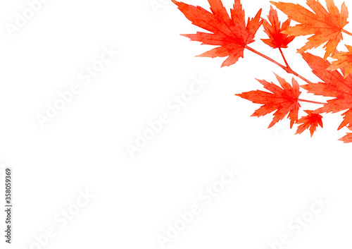 frame of red leaves in autumn concept  isolated on white background. Flat lay  top view  copy space.