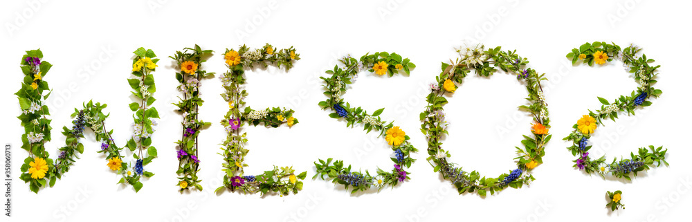 Flower, Branches And Blossom Letter Building German Word Wieso Means Why. White Isolated Background