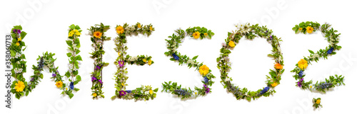 Flower, Branches And Blossom Letter Building German Word Wieso Means Why. White Isolated Background