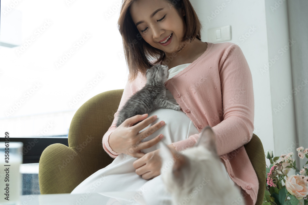 Asian pregnant woman holds a kitten on her stomach. And there is a mother cat near Asian pregnant woman holds a kitten on her stomach. And there is a mother cat near