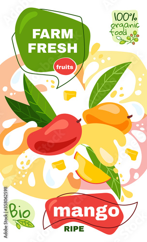 Food label template. vector illustration for organic mango milkshake fruit drink. natural bio fruits package design. ripe mango fruits with abstract splash background. eco concept farm fresh label.