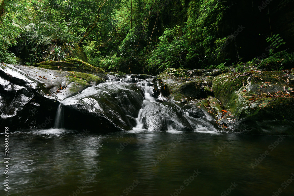 Photos of natural green and Waterfall river stream view. Photos of natural green and Waterfall river stream view.
