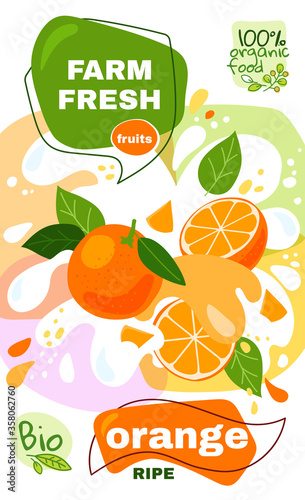 Food label template. vector illustration for organic orange milkshake fruit drink. natural bio fruits package design. ripe orange fruits with abstract splash background. eco concept farm fresh label.