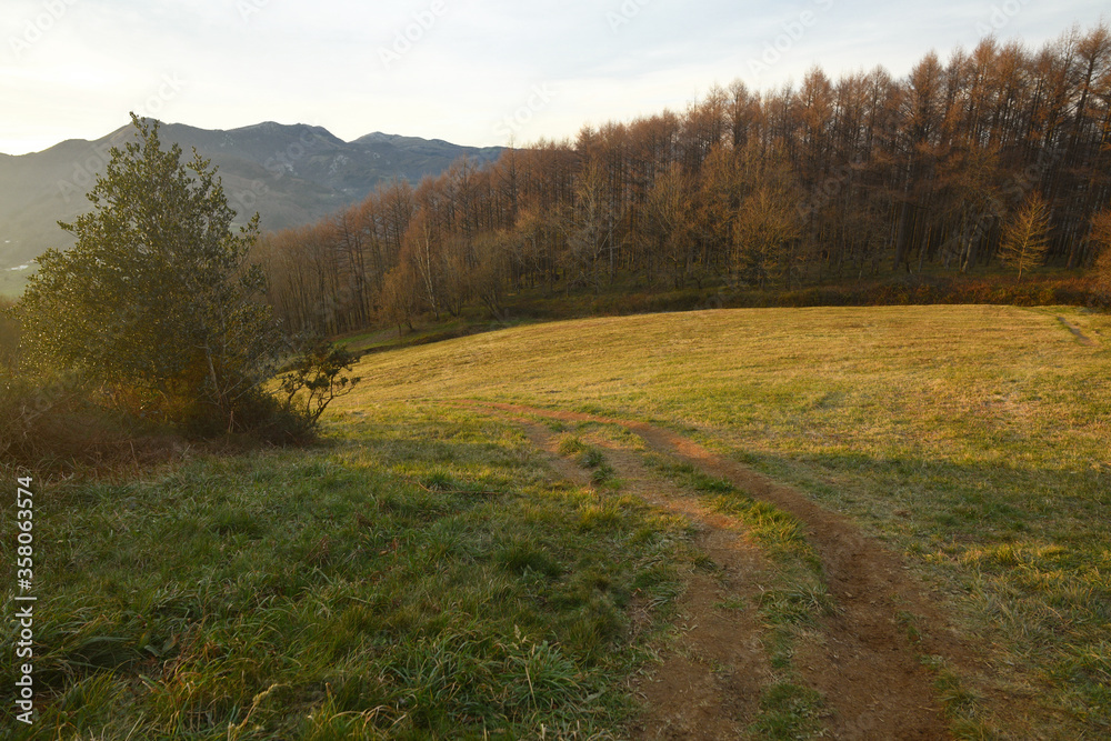 Mountain fields in Gipuzkua, Basque Country above the city of Tolosa. Mountain fields in Gipuzkua, Basque Country above the city of Tolosa.