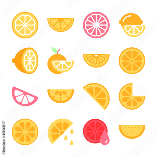 Collection of Color Vector Citrus Slices, Orange and Lemon 