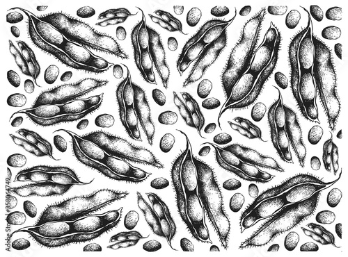 Vegetable and Fruit, Illustration Wallpaper of Hand Drawn Sketch Fresh Green Soybean or Edamame Pods Isolated on White Background.
