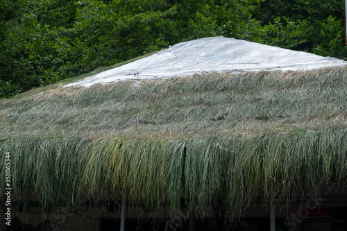 The roof of the house is made of grass. Cover the roof of the restaurant with straw. Day. Mainly cloudy. Georgia.