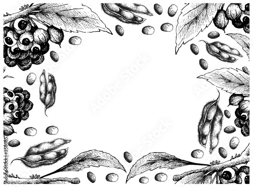 Vegetable, Illustration Frame of Hand Drawn Sketch Red Guarana or Paullinia Cupana Fruits and Soybeans Isolated on White Background.

