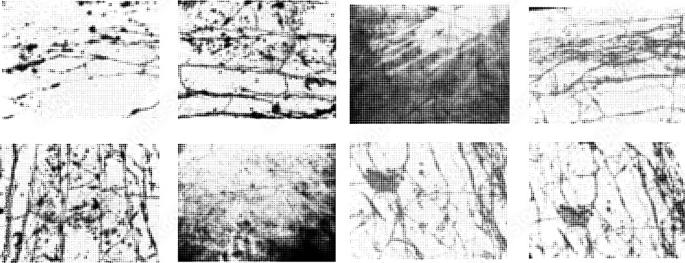 Fototapeta premium grunge background texture . Halftone dots collection . Distress vector