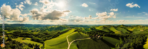 Vineyards panorama Leibnitz area famous destination wine street in south Styria in summer. photo