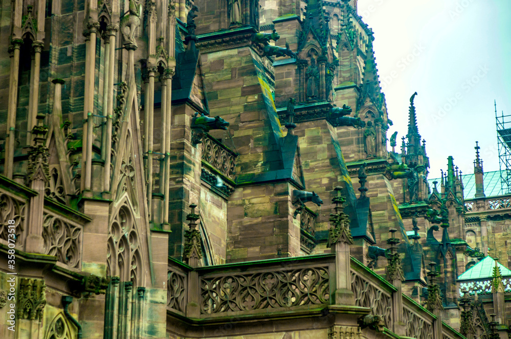 Naklejka premium SONY DSC