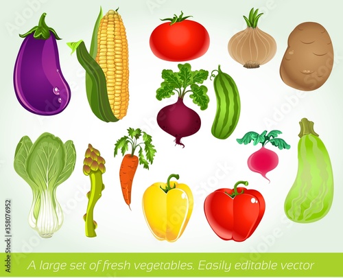 A large set of fresh vegetables. Easily editable vector